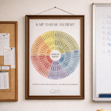 Emocijų ir jausmų ratas A3